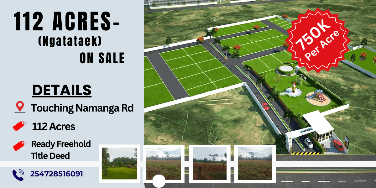 nyeri town ruring'u 50 by 100 mplots for sale
