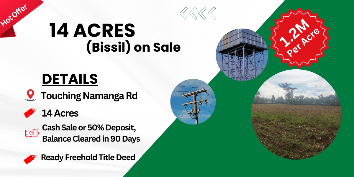 nyeri town ruring'u 50 by 100 mplots for sale