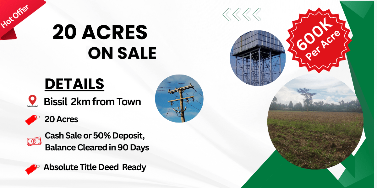 nyeri town ruring'u 50 by 100 mplots for sale