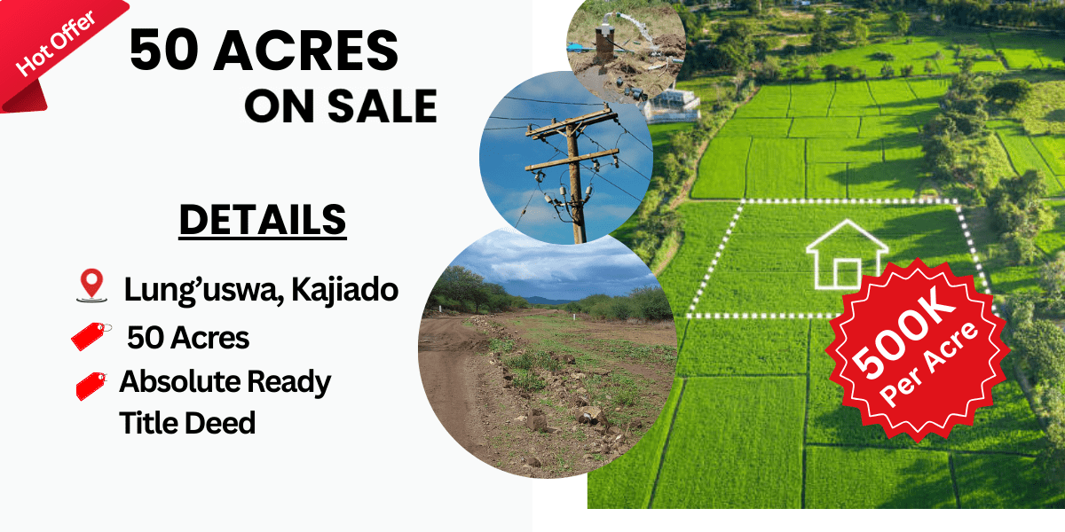 nyeri town ruring'u 50 by 100 mplots for sale