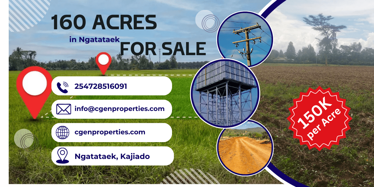 nyeri town ruring'u 50 by 100 mplots for sale