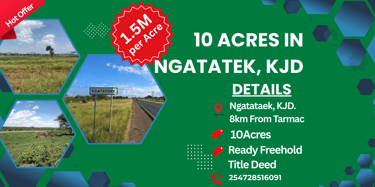 10 Acres for Sale – Ngatataek @500k per Acre