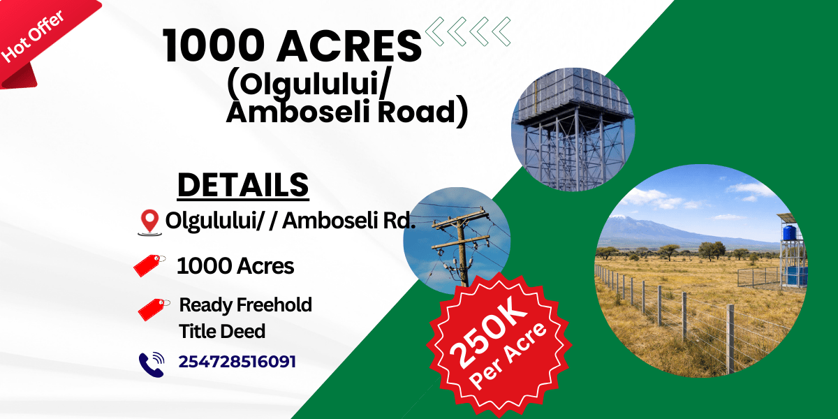 1000 Acres in Olgulului / Amboseli Road for Sale @250k per Acre