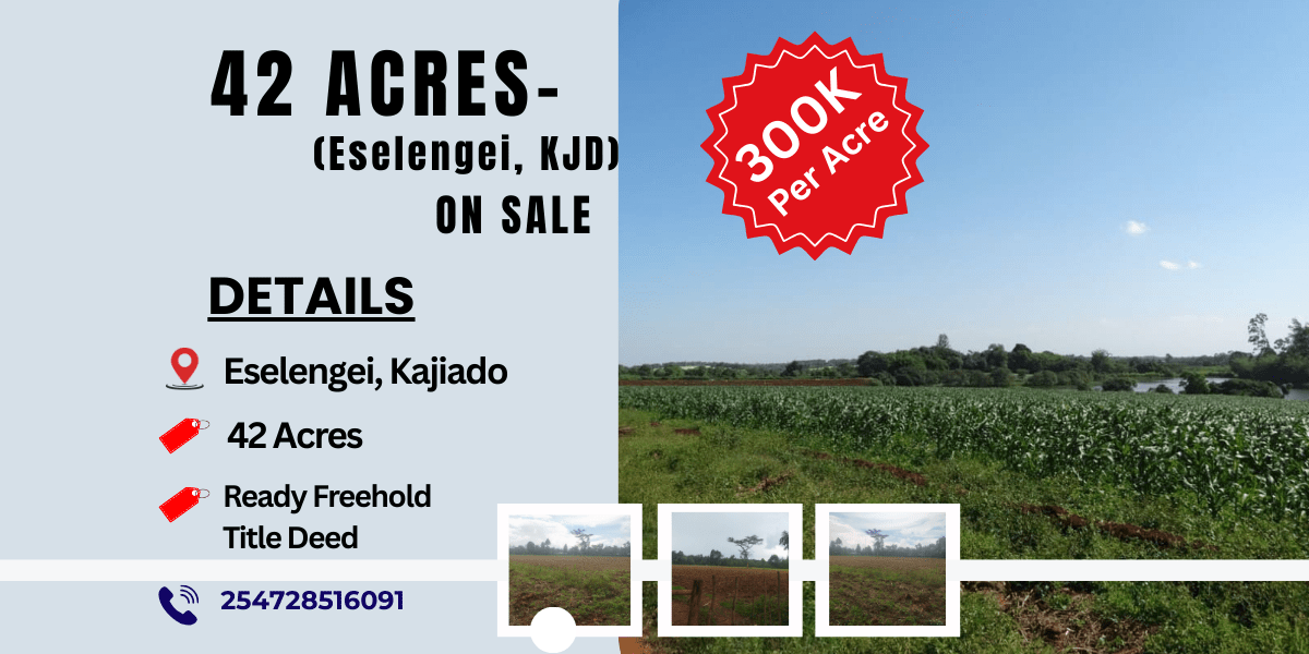 42 Acres in Eselengei, Kajiado @ 300k per Acre